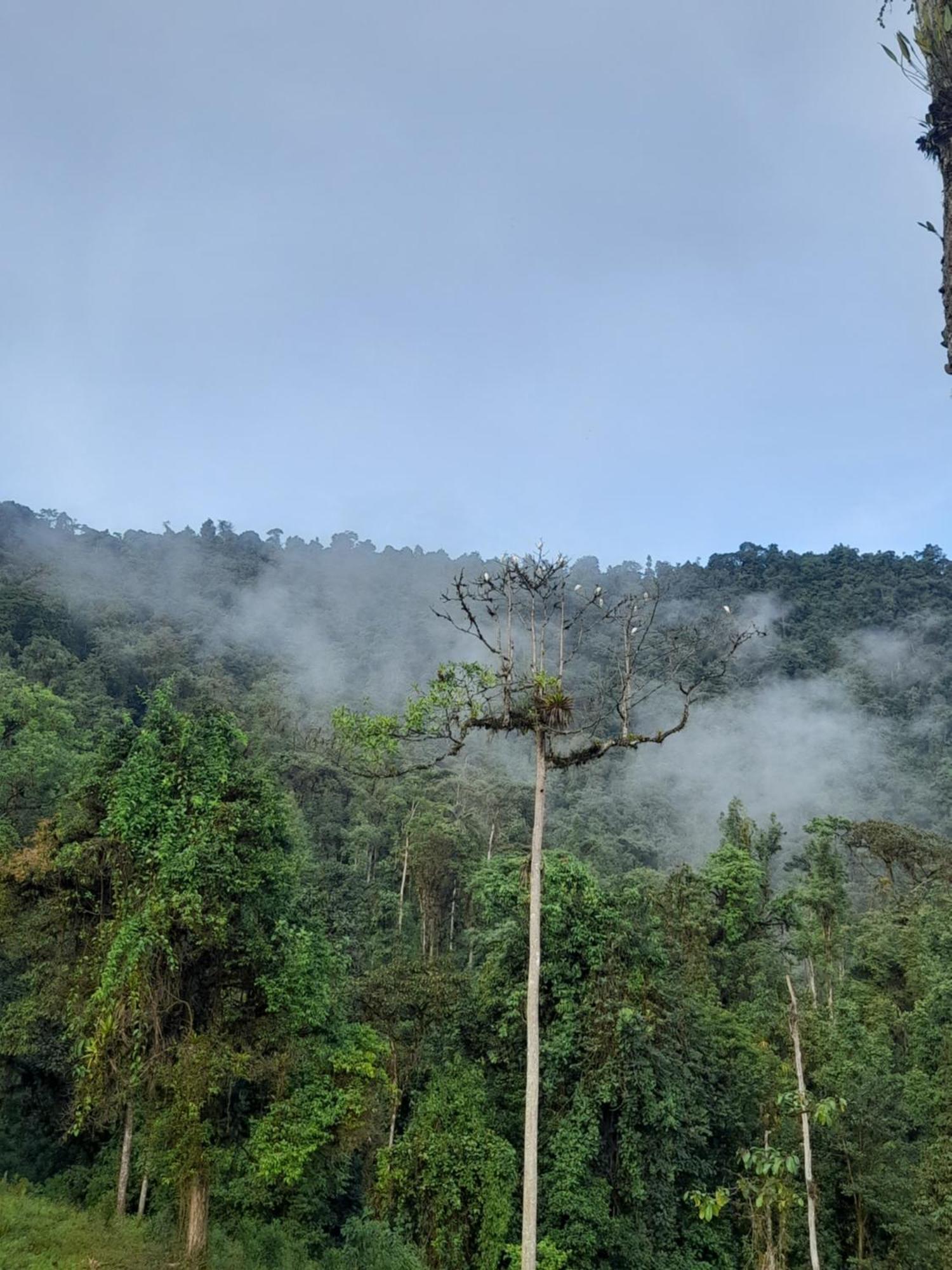Sendero De Las Aves Mindo Kültér fotó
